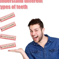 4 set akrylharts falska tänder falska tänder protes Halloween Ho> Tillbehör