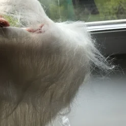 2 ST Löst Skägg Långt Fluffigt Skägg VIT><noscript><img width=