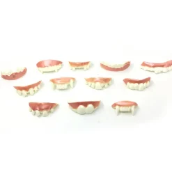 HEET 12 st roliga protesmodeller Cosplay rekvisita proteser leksaker Spoof To 12pcs><noscript><img width=