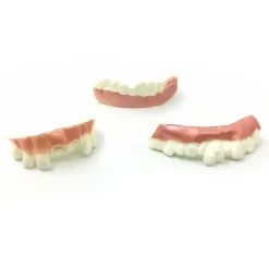 HEET 12 st roliga protesmodeller Cosplay rekvisita proteser leksaker Spoof To 12pcs><noscript><img width=