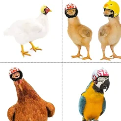 3 stycken kycklinghjälmar, fågelskyddshjälm, kycklinghjälmhatt, justerbar kycklinghuvudskydd för kyckling, för fjäderfähuvudskydd><noscript><img width=