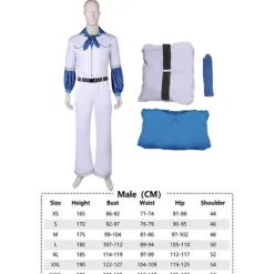 ABBA Kostym Cosplay Utklädnad ABBA Tjej Anni Agnetha Benny Bjorn Cosplay 70-tal Dam Herr Vintage Skjorta Halloween Karneval Dräkt M M Benny> Dräkter