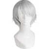 30cm/ 12 tum Medel Lång Rak Herrperuk (Silvergrå)> Peruker