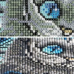DIY 5D Diamantmålning efter Nummer Kit, Diamantmålning, Diamo, ZQKLA><noscript><img width=
