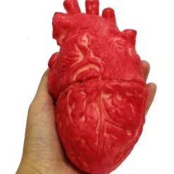 FMYSJ Falskt mänskligt hjärta Latex Livsstorlek Hjärta Blodiga skräckrekvisita för Halloween a (FMY)> Tillbehör