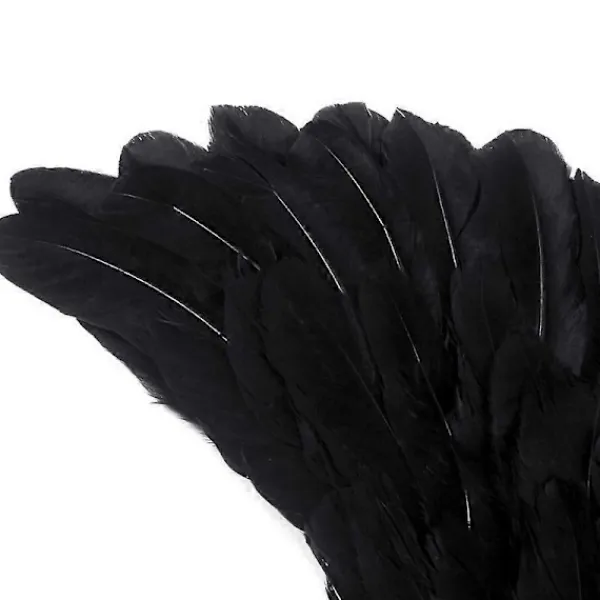 unbranded Fjädrade Djävulsvingar Halloween Kostym Cosplay> Tillbehör