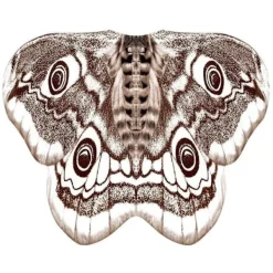 Fjärilsvingar Cape Fairy Wings Cloak E E E><noscript><img width=