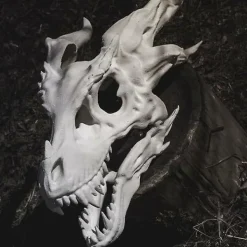 unbranded Halloween Cosplay Läskig Drak Dödskalle Mask Party Djur Dödskalle Mask> Masker