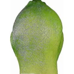 FMYSJ Halloween Kostym Party Cosplay Djur Latex Mask Rolig Anka Vuxen Huvudskydd (FMY)><noscript><img width=