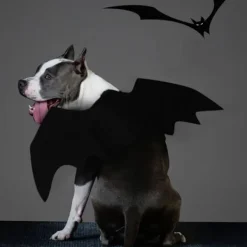 JIUSAIRUI Halloween kostym Pet Bat Wings Katt Hund Bat Costume Vingar small> Dräkter