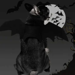 JIUSAIRUI Halloween kostym Pet Bat Wings Katt Hund Bat Costume Vingar small><noscript><img width=