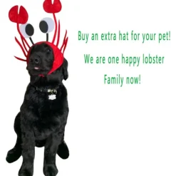 Hatt för män och kvinnor med 3D-hummer, kräftor, krabba, skaldjur, med klor (krabba)><noscript><img width=