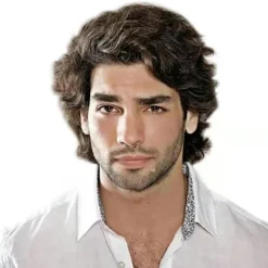 Herrmode Kort fluffigt lockigt hår Peruk Cosplay Party Syntetiska helperuker> Peruker