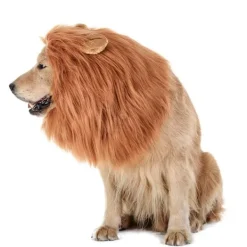 Hundar, Lejonman Peruker, Rolig Maskeradkostym för Små, Medelstora,><noscript><img width=