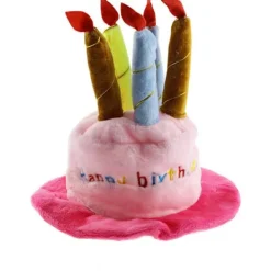 Hundfödelsedag Bandana Hatt Banner Fluga Set, Grattis på födelsedagen Fest Dekorationer för Valp Katt Husdjur Flicka (Rosa 7-delars set) (1-delars set) | Fyndiq> Huvudbonader