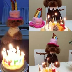 Hundfödelsedag Bandana Hatt Banner Fluga Set, Grattis på födelsedagen Fest Dekorationer för Valp Katt Husdjur Flicka (Rosa 7-delars set) (1-delars set) | Fyndiq><noscript><img width=