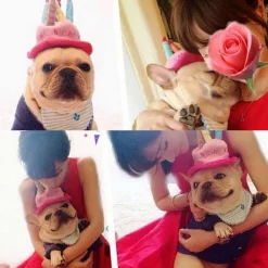 Hundfödelsedag Bandana Hatt Banner Fluga Set, Grattis på födelsedagen Fest Dekorationer för Valp Katt Husdjur Flicka (Rosa 7-delars set) (1-delars set) | Fyndiq><noscript><img width=