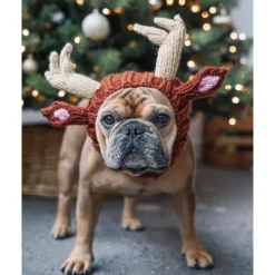 Hundkostym - Öronmuffar utan klaff för husdjur Halloweenhatt> Huvudbonader