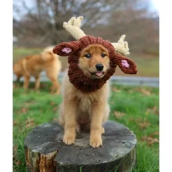 Hundkostym - Öronmuffar utan klaff för husdjur Halloweenhatt> Huvudbonader