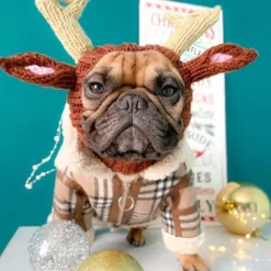 Hundkostym - Öronmuffar utan klaff för husdjur Halloweenhatt><noscript><img width=