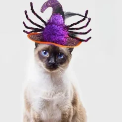 Husdjurshuvudbonader Halloween hatt><noscript><img width=