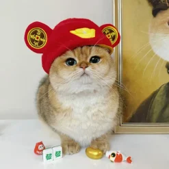 INF Huvudbonad för husdjur - Söt dräkt för katter och små hundar Model 5><noscript><img width=