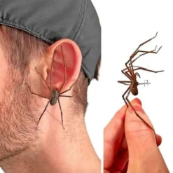 Jätte Spindelörhängen Halloween Karneval Stud Örhängen> Dräkter