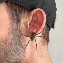 Jätte Spindelörhängen Halloween Karneval Stud Örhängen><noscript><img width=