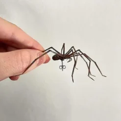 Jätte Spindelörhängen Halloween Karneval Stud Örhängen><noscript><img width=