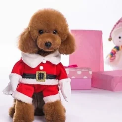 Juldräkter för husdjur Hunddräkt med mössa Tomtedräkt Hundtröjor Kattjuldräkter Festdräkt W><noscript><img width=