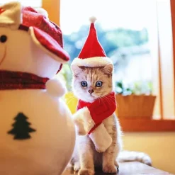 Jultomteluvor för husdjur, husdjurshattar för hundar och katter, tomteluvor><noscript><img width=