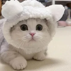 Justerbar söt katthatt björnhatt för katter små hundar kattunge valp husdjur huvudbonad Halloween jul födelsedagsfest kostymtillbehör (brun)> Huvudbonader