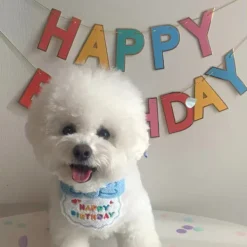 Katt Hund Haklappar och hattar Söt klä upp hattar Haklapp Rolig fotografi rekvisita Present till födelsedagsfest Blå haklapp och hatt><noscript><img width=