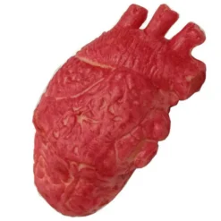 Latex Livsstorlek Falskt Mänskligt Hjärta Blodig Halloweenrekvisita><noscript><img width=