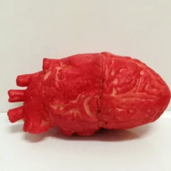 Latex Livsstorlek Falskt Mänskligt Hjärta Blodig Halloweenrekvisita><noscript><img width=