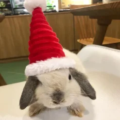 Lizard Tomte Hatt Kanin Withscarf Juldräkt 01 01 01><noscript><img width=