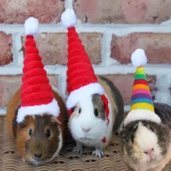 Lizard Tomte Hatt Kanin Withscarf Juldräkt 01 01 01><noscript><img width=