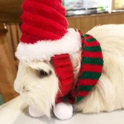 Lizard Tomte Hatt Kanin Withscarf Juldräkt 01 01 01><noscript><img width=