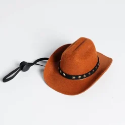 Mini Cowboyhatt för Katt och Hund> Huvudbonader