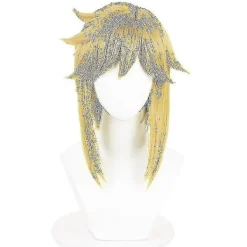 TryggHandla Nytt Spel Legend Link Cosplay för Vuxna och Barn Tears Of The Kingdom Kostym Komplett Set Man Halloween Karneval Kostym Med Peruk Med peruk L | Fyndiq> Dräkter