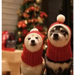 Rolig Halloween Hundhuvudbonad Rolig Huvudbonad för Husdjur Hundhuvudbonad, Lämplig för Thanksgiving Julpartyn> Huvudbonader