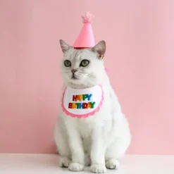 Rosa, husdjurshalsduk - Minihund och katt - Festsjalar och hatt -><noscript><img width=