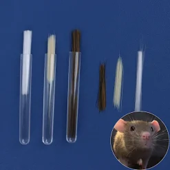 BLE Simulering Katt Skägg Djur Skägg Ull Filt DIY Tillbehör Art black brown 520pcs><noscript><img width=