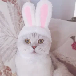 Söt kostym kaninhatt med öron för katter och små hundar festdräkt påsk husdjursaccessoar huvudbonad><noscript><img width=