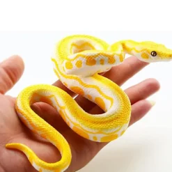 Svart matt klassisk venetiansk mask, maskerad, burlesk bal> Masker