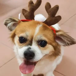 LBSS Tillbehör för husdjur Jultillbehör Hund Hårnål Katttillbehör Julhornshorn Pannband Hundhatt><noscript><img width=