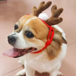 LBSS Tillbehör för husdjur Jultillbehör Hund Hårnål Katttillbehör Julhornshorn Pannband Hundhatt><noscript><img width=