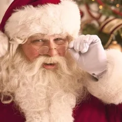 Tomteglasögon Tomtedräkt Retro Runda Nickelfärgade Glasögon Tomte med Runda Linser><noscript><img width=